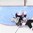 TORONTO, CANADA - DECEMBER 27: Canada's Mathieu Joseph #11 crashes into Slovakia's Adam Huska #30 during a preliminary round game at the 2017 IIHF World Junior Championship. (Photo by Matt Zambonin/HHOF-IIHF Images)

